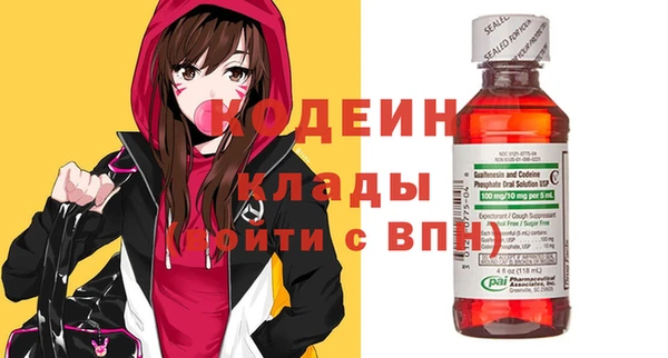 МДПВ Гусев