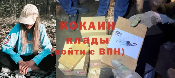 дмт Мегион