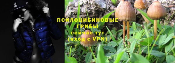 МДПВ Гусев