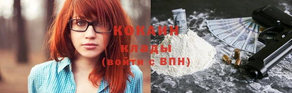 МДПВ Гусев