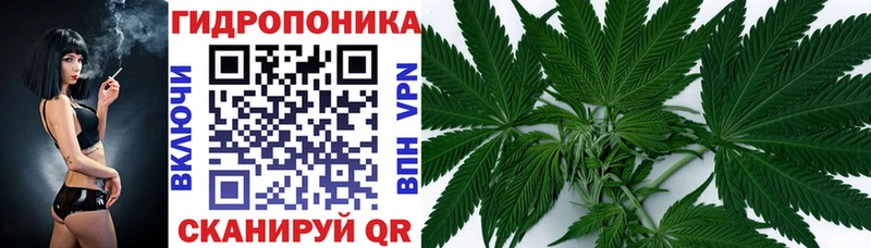 Бошки Шишки планчик  Октябрьск 
